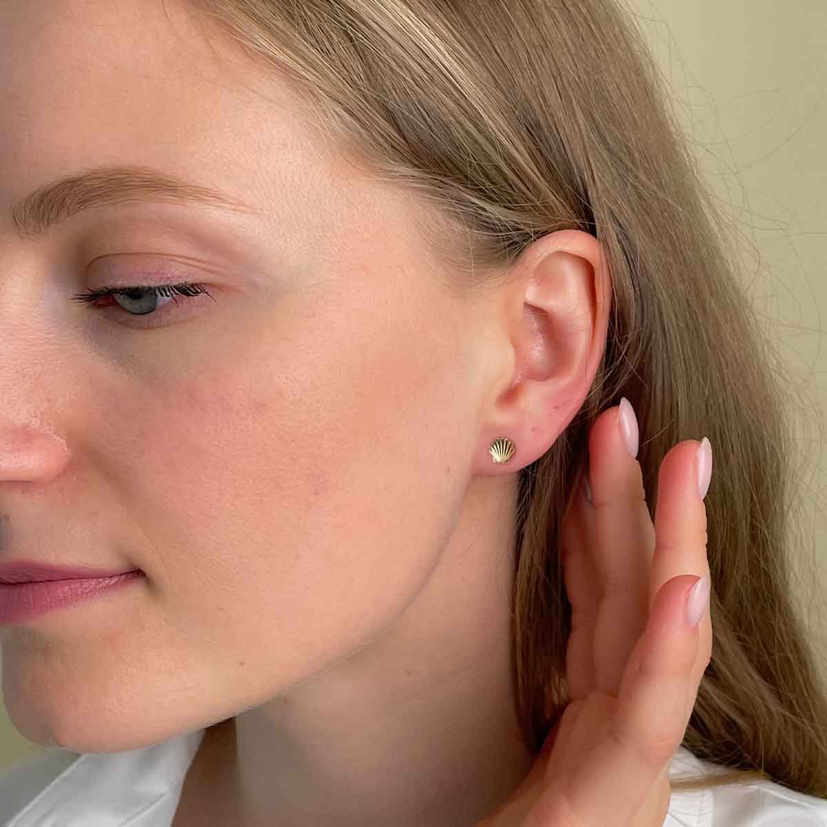 SeaShell Gold Studs
