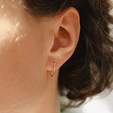 18ct Yellow Gold Medium Paperclip Hoop Earrings