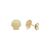 18ct Yellow Gold Seashell Earrings